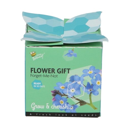 Buzzy ® Grow Gift Vergeet-me-niet in potje